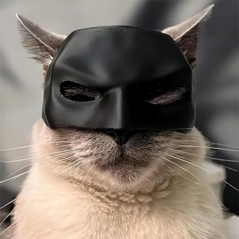 Máscara de gato, brinquedos para animais de estimação