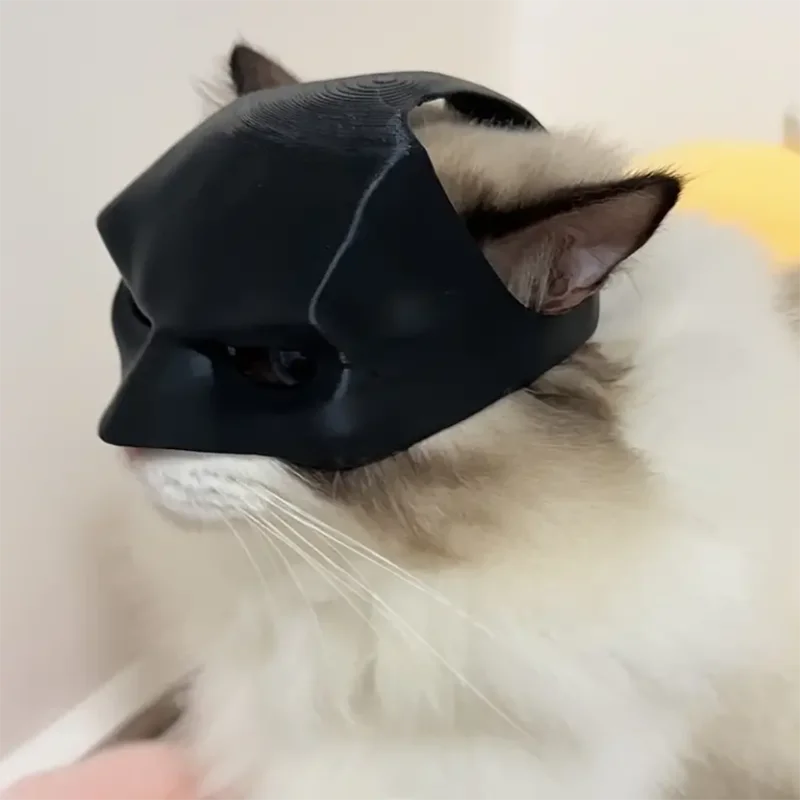 Máscara de gato, brinquedos para animais de estimação